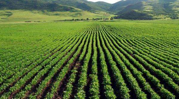 ʤ�߰�����������ɽ��ˮ������Ժӭ�������������������Ӯʡ��������