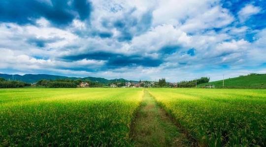 【收案公告】凯诺拆迁律师介入唐山征地补偿纠纷案