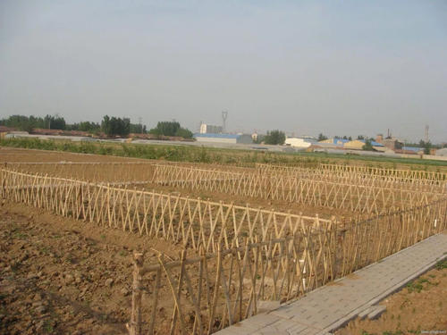 ���հ����桿��ŵ��ʦ���밲�������۳���˫���������û����ز������װ�